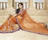 Bollywood hellorange Net Saree (Sari)...